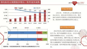 2017年中国公共云发展调查报告与可信云观察 基础软件服务分析